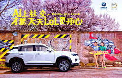 杨力YYLL采集到汽车