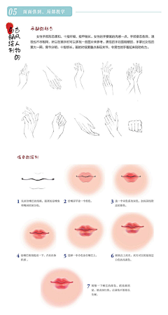 桑戈采集到一