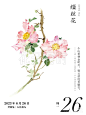 来自相册