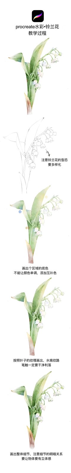 唐僧洗发用白糖采集到水彩