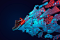 Chris LaBrooy on Behance