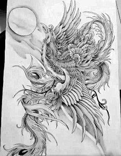仙鹤鹰凤凰孔雀-花瓣网|陪你做生活的设计师 | 中国山水画 鸿运当头