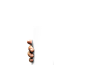 盖乐世 S7 edge 限量收藏版 | SM-G9350ZKWCHC | 三星电子 中国 : 盖乐世 S7 edge 限量收藏版