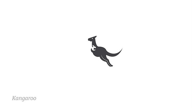 Animal Series - A to...