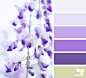 Design Seeds : Design Seeds color palettes ... posted daily for all who love color.