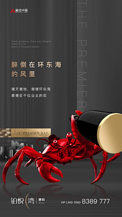 SHUAIXU采集到活动