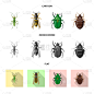 昆虫,标志,生物学,农业,野生动物,环境,甲虫,蜂蜜,动物,飞
