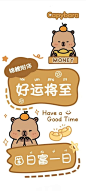卡皮巴拉