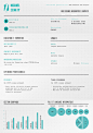 Infographic Resume on the Behance Network