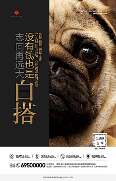 1敏儿采集到招聘