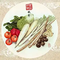 應節氣而食，舌尖上的中國二十四節氣表 : 立春|春卷餃子迎春節雨水|豆苗清火韭菜溫陽驚蟄|鮮吃香椿芽春分|挖薺菜花椒始出芽清明|寒食青團明前茶穀雨|餐桌有榆錢立夏|嘗三新小滿|苦菜枇杷憶苦思甜芒種|煮梅飲其湯夏至|涼麵荔枝伴小暑|食黍嘗嫩藕大暑|伏羊辨食俗立秋|咬秋吃渣貼秋膘處暑|鴨湯潤秋燥白露|秋黃之蘇白露之茹秋分|食