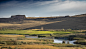 Landscape Nature Washington wheat field palouse