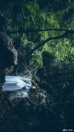 三月壁纸 
三月，送你们迎春燕～
北方还是光秃秃的，南方是不是已经进入花期了？
摄影：界音 ​​​​