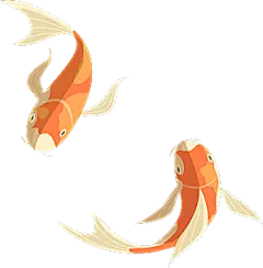 中国风手绘锦鲤鱼插画免抠PNG装饰素材