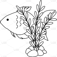 可爱的,洋葱花,鱼类,海草,华丽的,野生动物,自然美,动物,水生动植物,植物