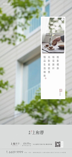 00鱼香肉丝儿采集到永威
