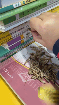 知识就是力量
书中自有千钟栗
“从前听人...