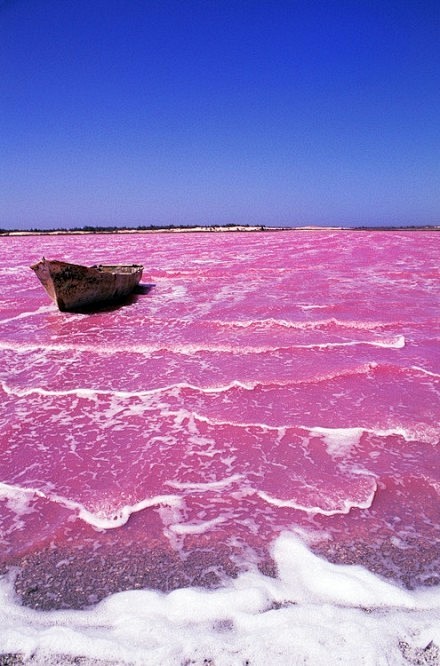 粉色的湖 澳洲的希利尔湖 & 非洲的塞内...