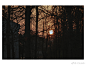 006yB9Clly1h07j8wrt5pj31jk168kio.jpg (2000×1520)