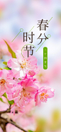 中国人， 自然， 季节， 花朵， 垂直|1080x2338 壁纸 - wallhaven.cc