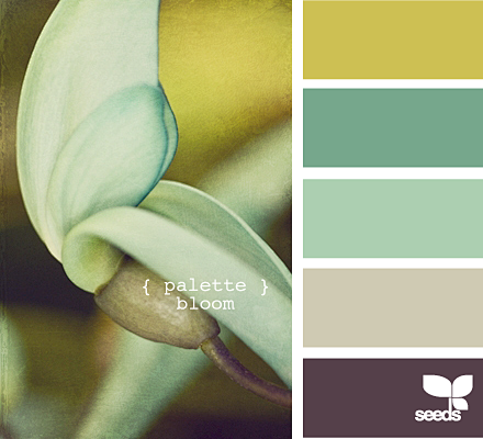 palette bloom