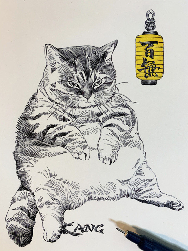 {线稿系列}动物线稿设计，动态