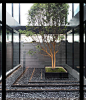 佛山框·井 Frame office - hhlloo : 原生杂木，匠心本朴 