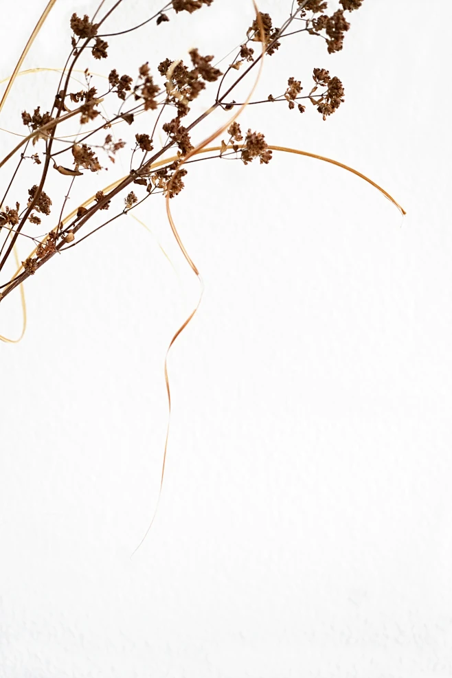 dried-odc-our-daily-challenge-dry-drying-or-dried