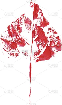 叶子,自然美,水彩画,涂料,无人,绘画插图,墨水,夏天,计算机制图,计算机图形学