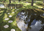 植物艺术生物空间，水上花园 / junya.ishigami+associates ：场地上苔藓铺设精美，填补了小水荡和树木之间的空隙  Moss laid out beautifully to fill the spaces in between.
© ji+a