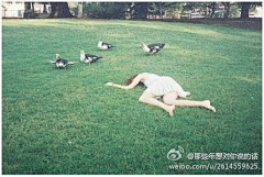蔓橘采集到童真