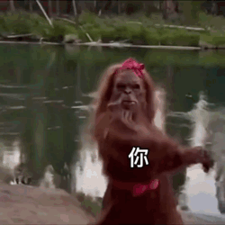 (44 封私信 / 81 条消息) 有没...