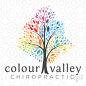 color valley chiropractic 