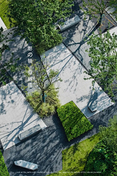 是卡卡林采集到景观素材