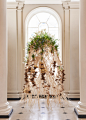 SPROUT at Somerset House : The brief given by Somerset House: to create an installation to celebrate the marvellous mushroom for their exhibition Mushrooms: The art, design and future of fungi.