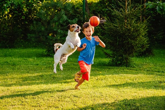 shutterstock_1419914...