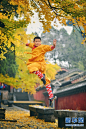 少林寺的搜索结果_360图片