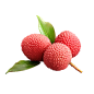 水果 荔枝 免扣PNG 透明png