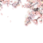 之前画稿画的桃花花，点赞评论就可以抱走了，… - 半次元 - ACG爱好者社区