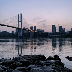 一松茸采集到重庆