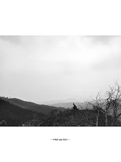 又是一年清明日，不见当年指路童
