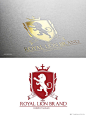 %name 奢华风格金箔狮子图形Logo设计 Royal Lion Brand