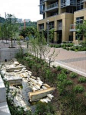 Portland uses green streets, ecoroofs, trees, and other green infrastructure to manage stormwater, protect water quality and improve watershed health.  Click image for full description & visit our Stormwater Solutions board >>  http://www.pinter