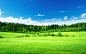 #green, #grass, #trees, #sky, #clouds | 2560x1600 Wallpaper: 39895y - wallhaven.cc