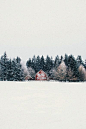 expressions-of-nature:  by jannikobenhoff