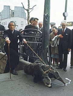 烟雨江南笑红尘采集到历史上的“城会玩” 24张会让人傻眼的老照片