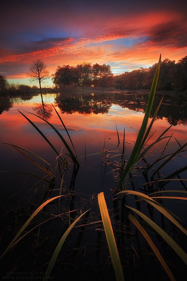 by Florent Courty
