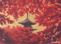 彼岸花竹林风采集到醉心的美