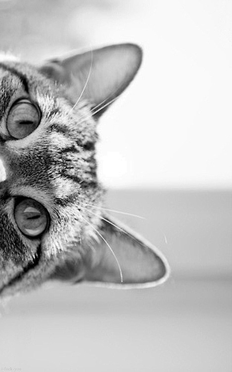 I see you!