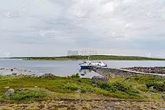 俄罗斯的大扎亚茨基岛